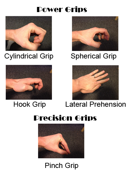 Power – Hook Grip – Functional Anatomy of the Hand
